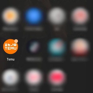 Temuアプリ　入れてしまった　ダウンロード