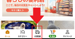 Temu　早く届く　ローカルアイテム